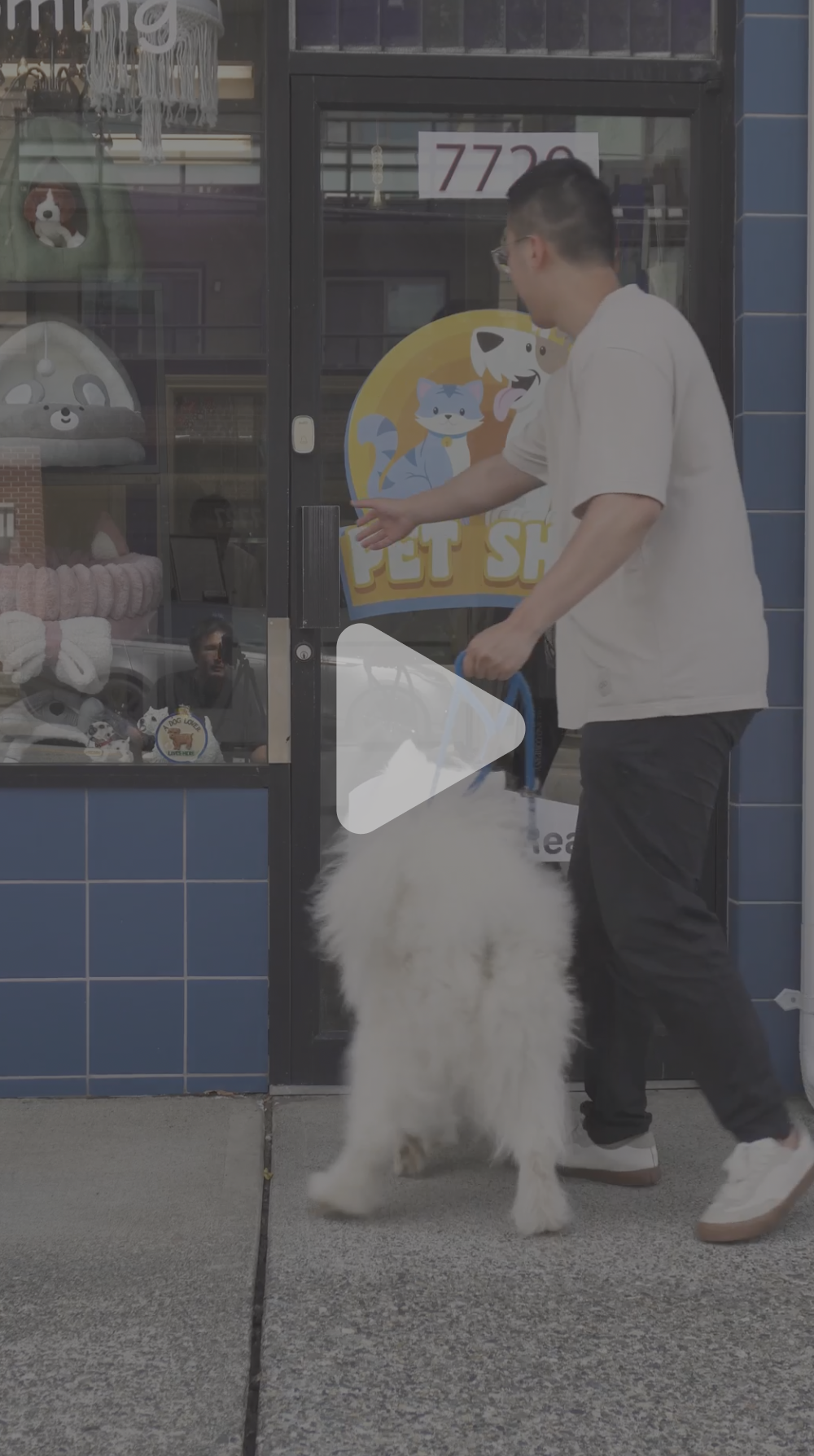 Steps for grooming big dog - themilkypaw.com